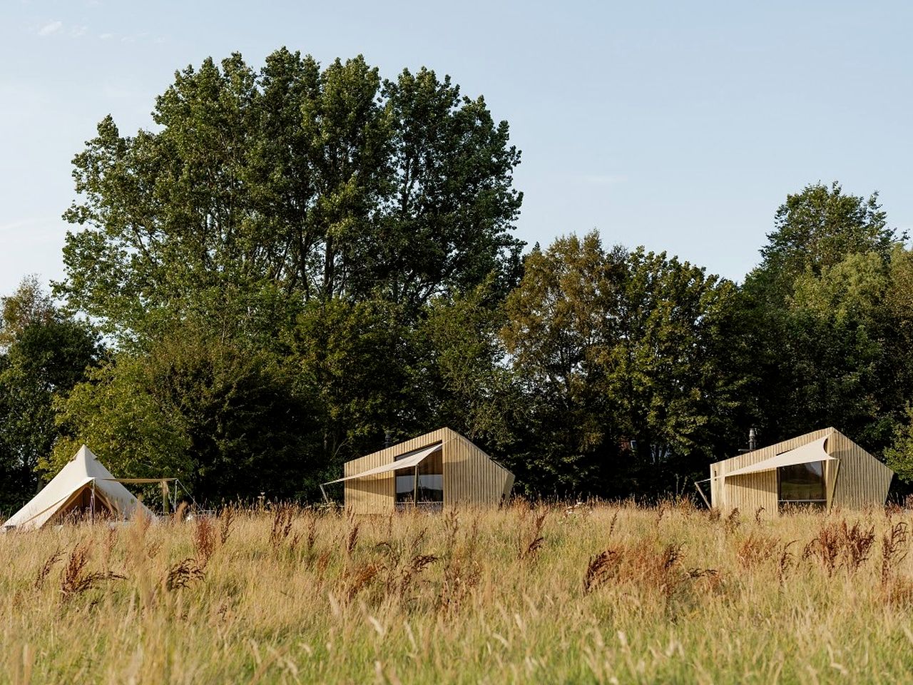 Eco-Friendly Tiny House Rental Perfect for Glamping in the Netherlands