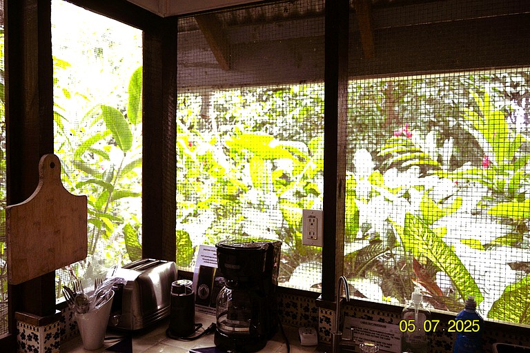 Cabins (Belize, San Ignacio, Cayo District)