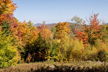 Charming Cabin Rental Perfect for an Adirondack Getaway photo 2