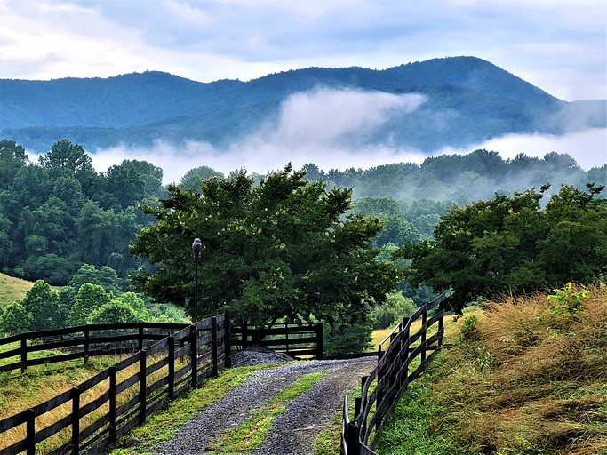 Cabins (United States of America, Sperryville, Virginia)