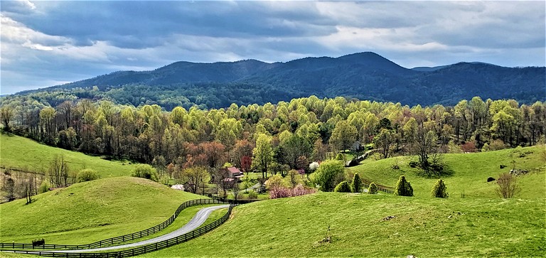 Cabins (United States of America, Sperryville, Virginia)