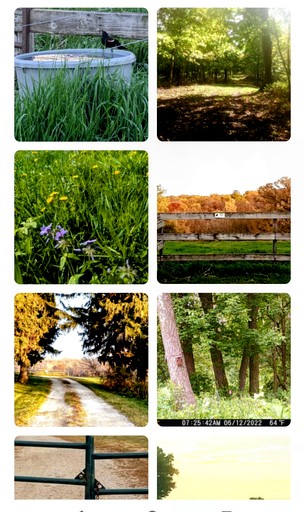 Barns (United States of America, Paris, Tennessee)
