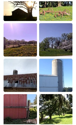Barns (United States of America, Paris, Tennessee)
