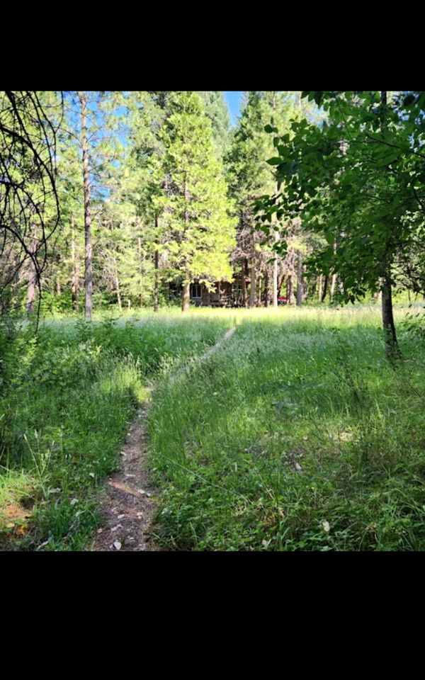 Charming Cabin for Sierra Nevada Getaways