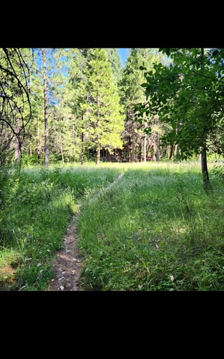 Cabins (United States of America, Nevada City, California)