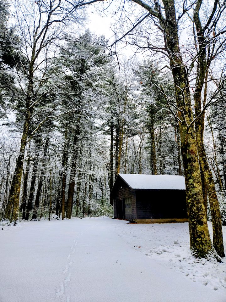 Modern, Cozy, Idyllic Log Cabin Secluded on 6 Serene Acres, Stone Ridge, New York