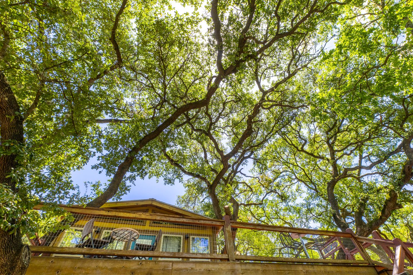 Adorable Cabin Rental Ideal for a Romantic Getaway with Guadalupe River Access in Texas!