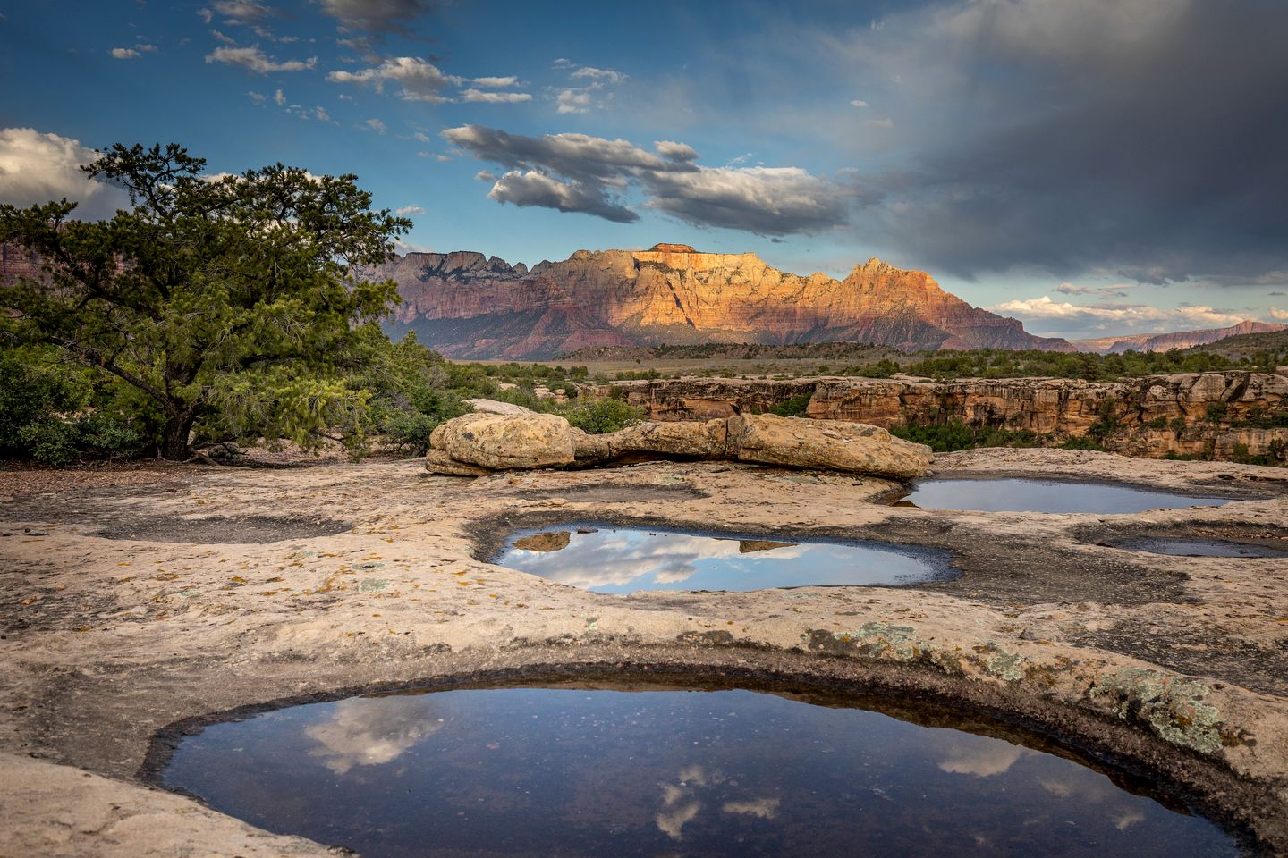 Cedar Springs Luxury Safari Tent Rental near Zion Park
