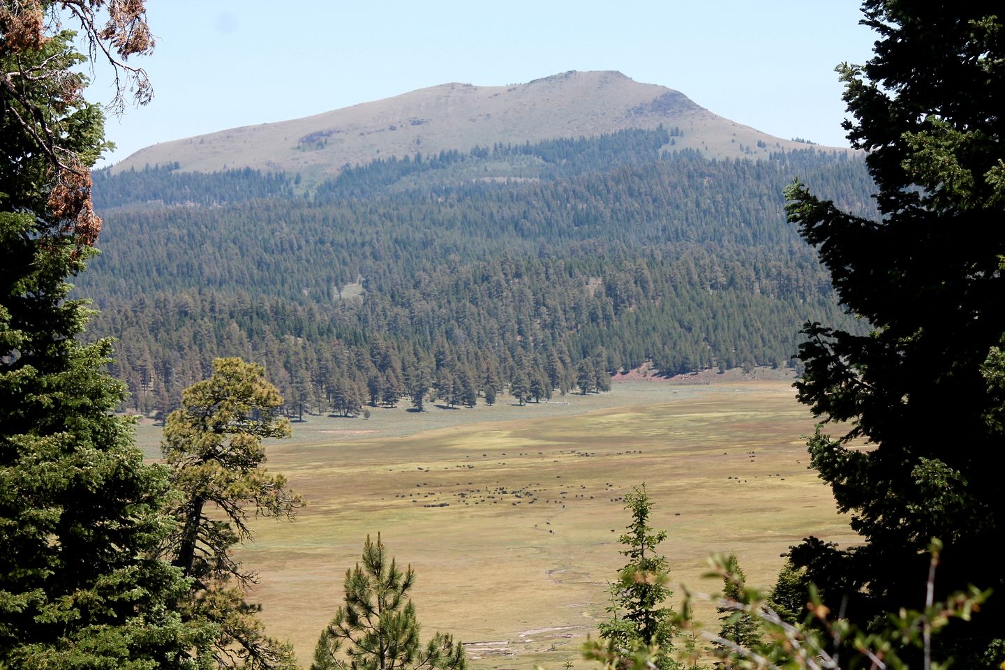 Cabin Rental with a Spacious Deck Nestled in the Woods of Lakeview, Oregon
