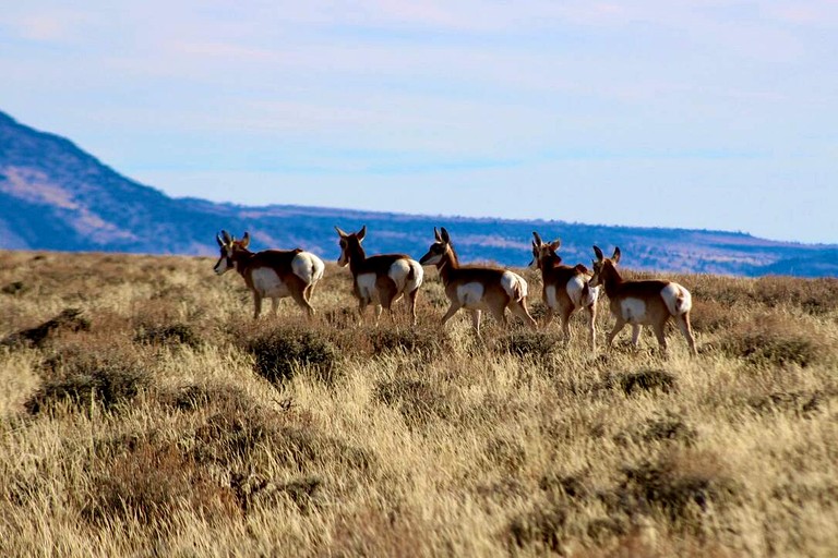 Cabins (United States of America, Lakeview, Oregon)