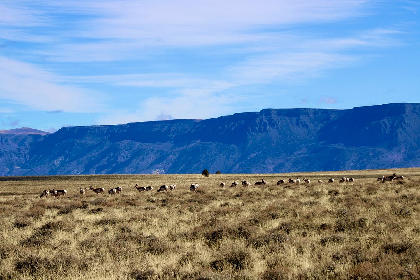 Cabin Rental with a Spacious Deck Nestled in the Woods of Lakeview, Oregon
