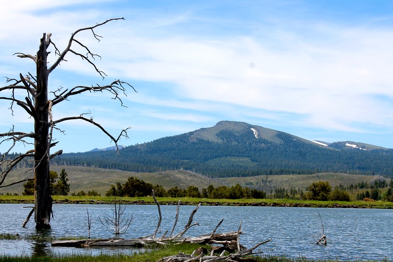 Cabins (United States of America, Lakeview, Oregon)