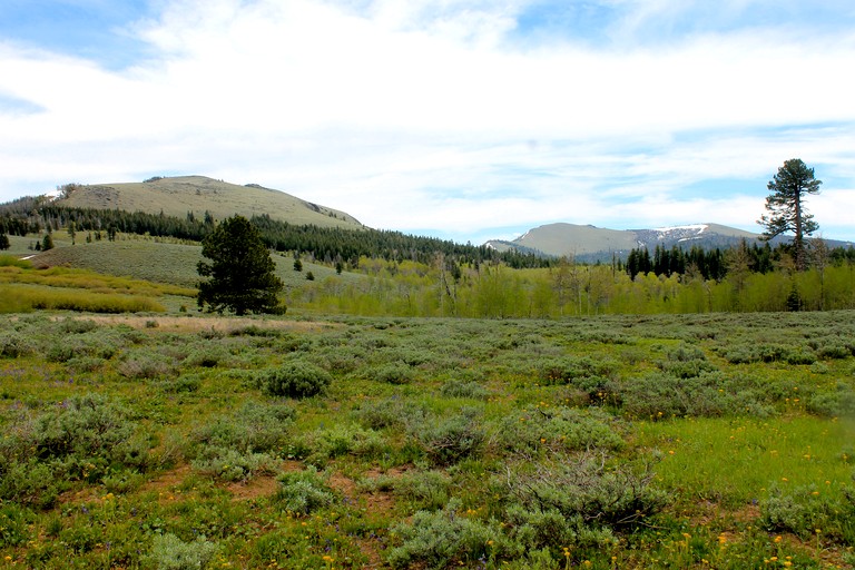 Cabins (United States of America, Lakeview, Oregon)