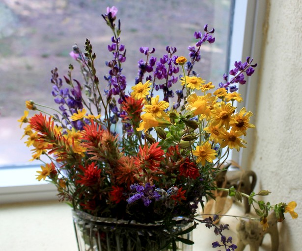 Cabins (United States of America, Lakeview, Oregon)