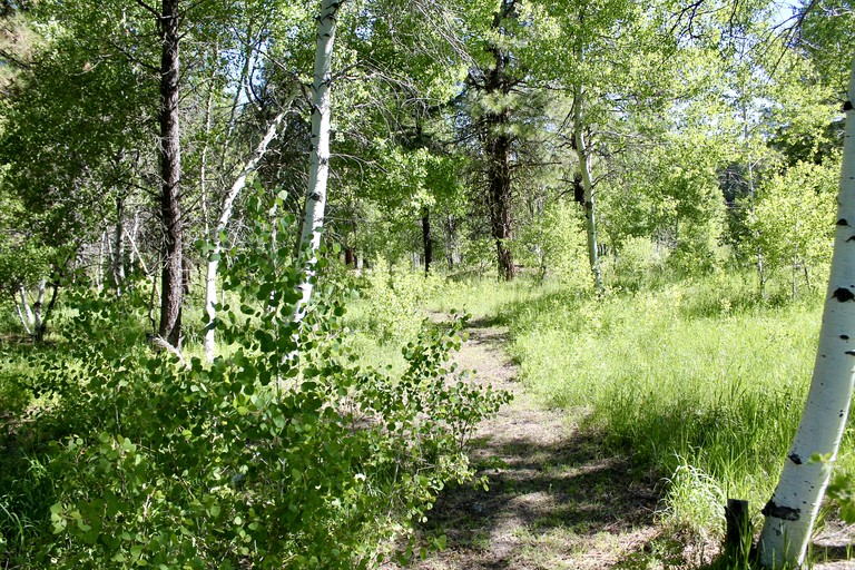 Cabins (United States of America, Lakeview, Oregon)