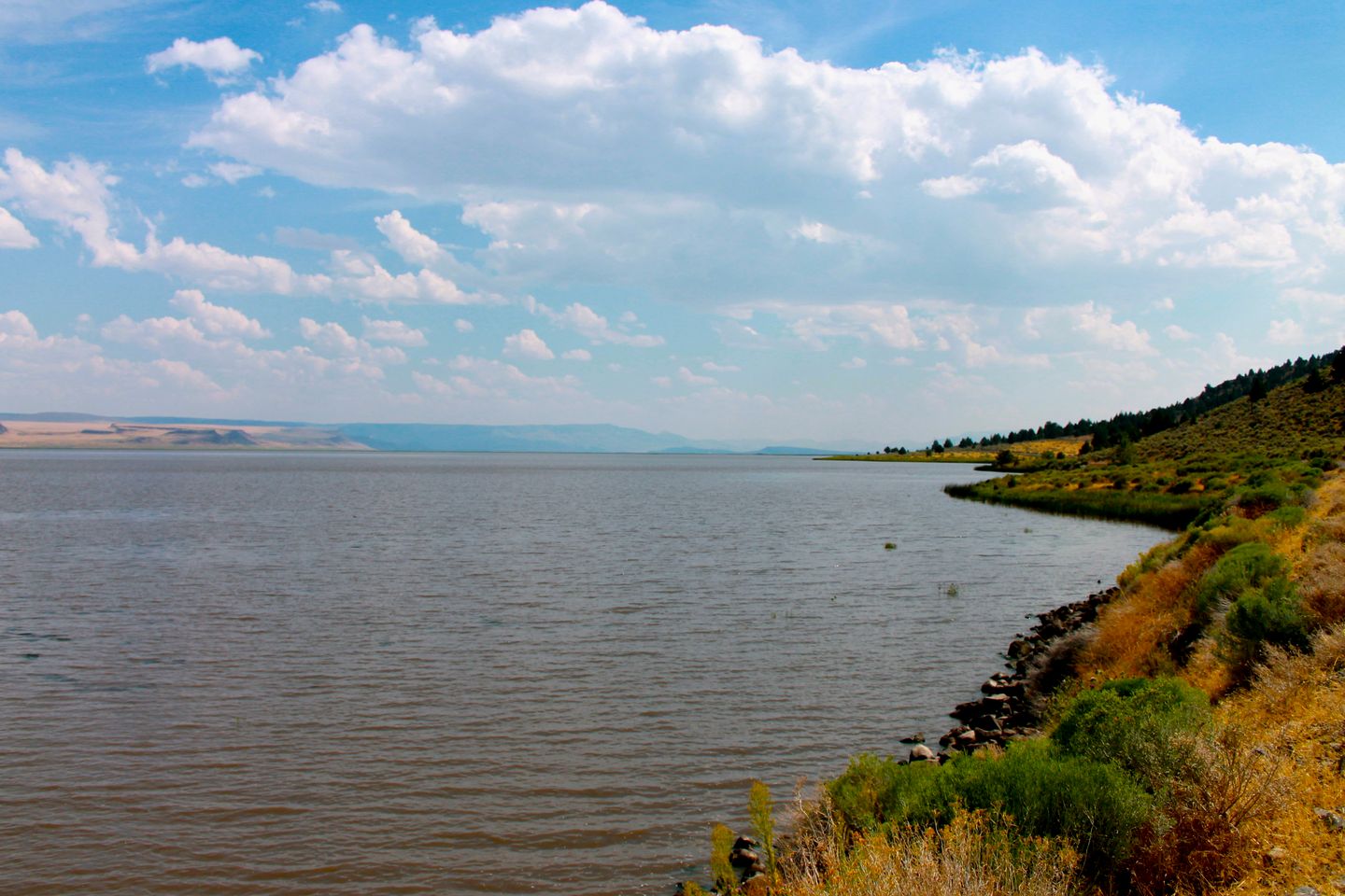 Cabin Rental with a Spacious Deck Nestled in the Woods of Lakeview, Oregon