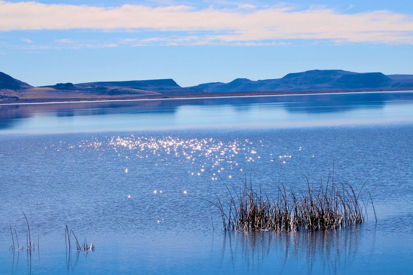 Cabin Rental with a Spacious Deck Nestled in the Woods of Lakeview, Oregon