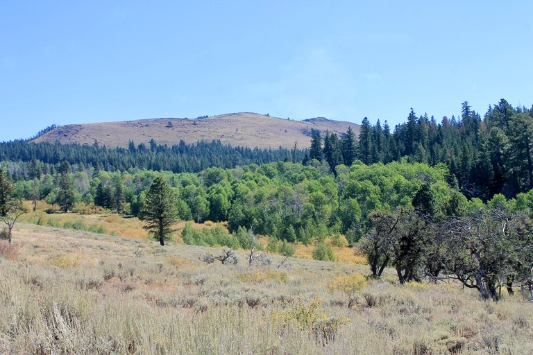 Cabins (United States of America, Lakeview, Oregon)