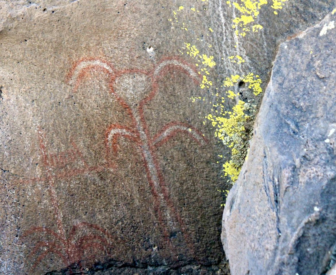 Charming Cabin Rental Situated in the Warner Mountains of Oregon