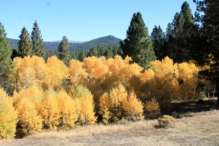 Cabins (United States of America, Lakeview, Oregon)