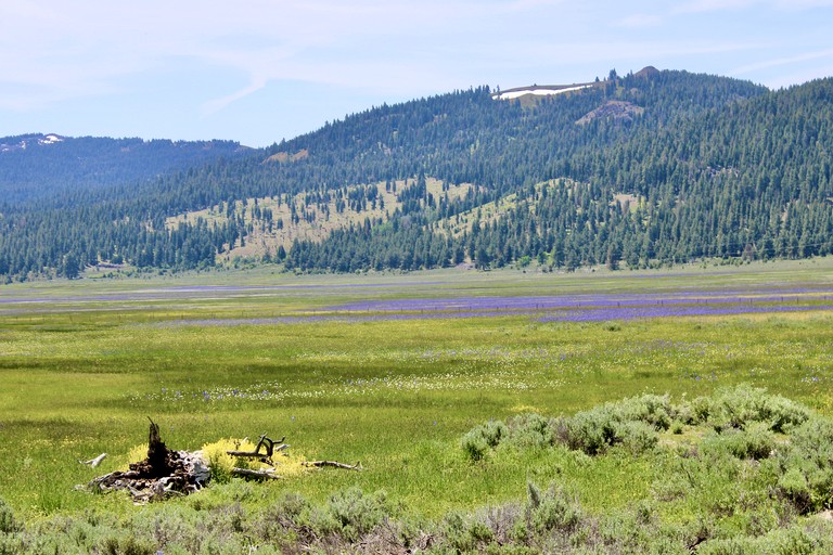 Cabins (United States of America, Lakeview, Oregon)