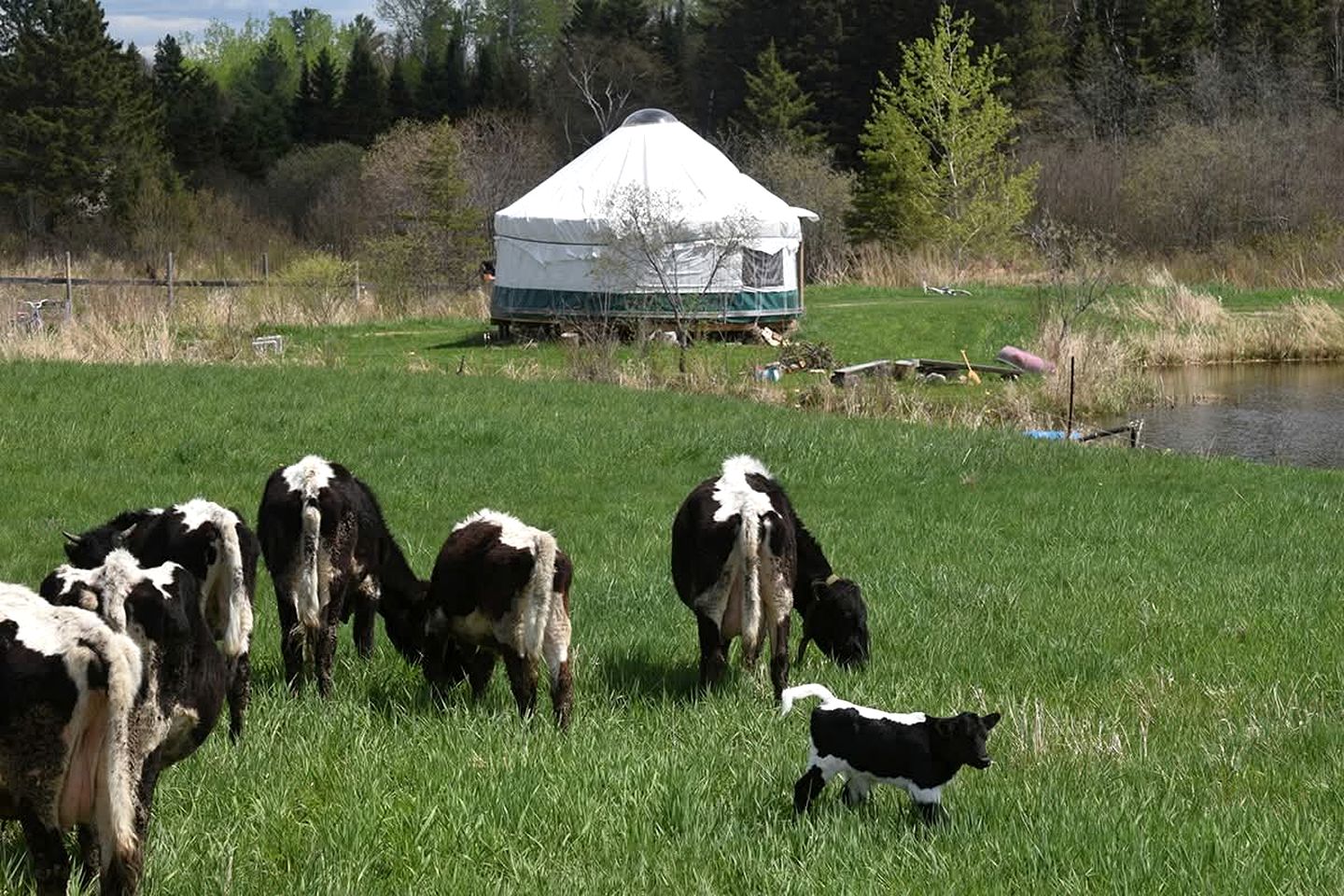 Impressive Yurt with Wood-Burning Stove Ideal for Camping near North Bay