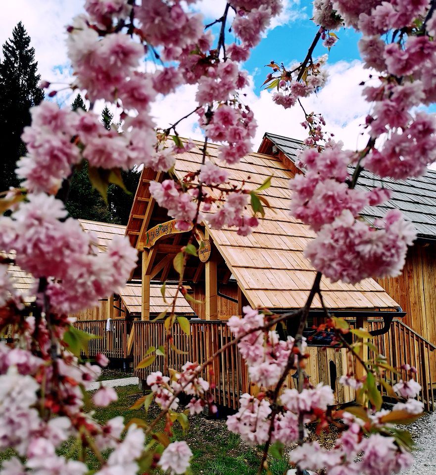 Gorgeous Cottage Rentals for Ribno Glamping, Slovenia