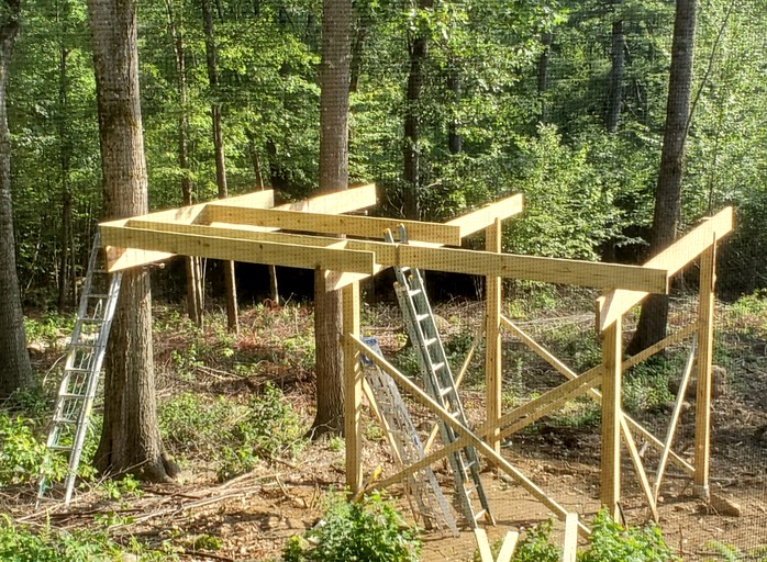 Tree Houses (United States of America, Munsonville, New Hampshire)