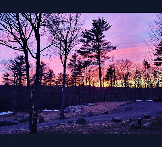 Tree Houses (United States of America, Munsonville, New Hampshire)