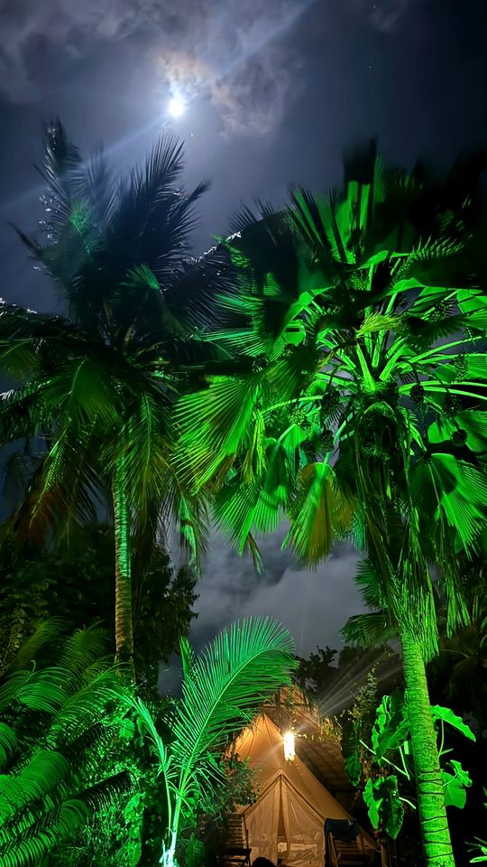 Stunning Beachfront Bell Tents for Tropical Vacation near Fortaleza, Brazil