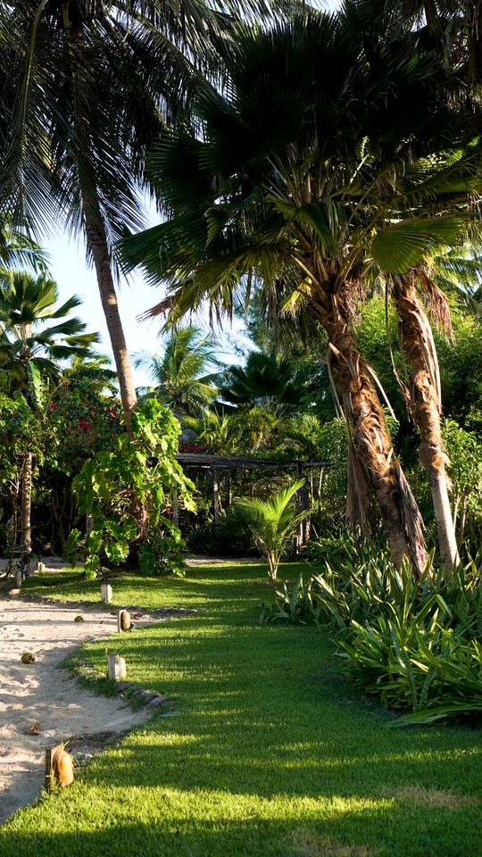 Stunning Beachfront Bell Tents for Tropical Vacation near Fortaleza, Brazil