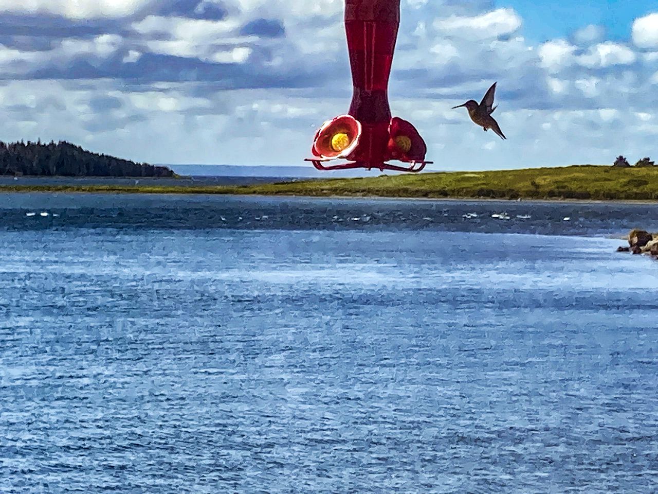 Cozy Cottage with Beach Access in Nova Scotia, Perfect for Water Sports Enthusiasts