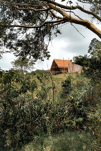 Huts (Colombia, Chinchiná, Caldas)