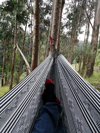 Cabins (Colombia, Tabio, Bogota)