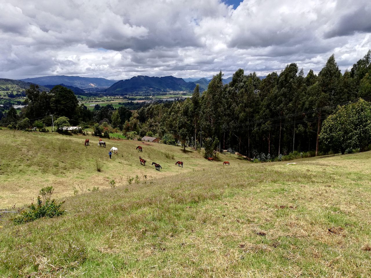 Colombian Cabin makes for a Stunning Rural Retreat