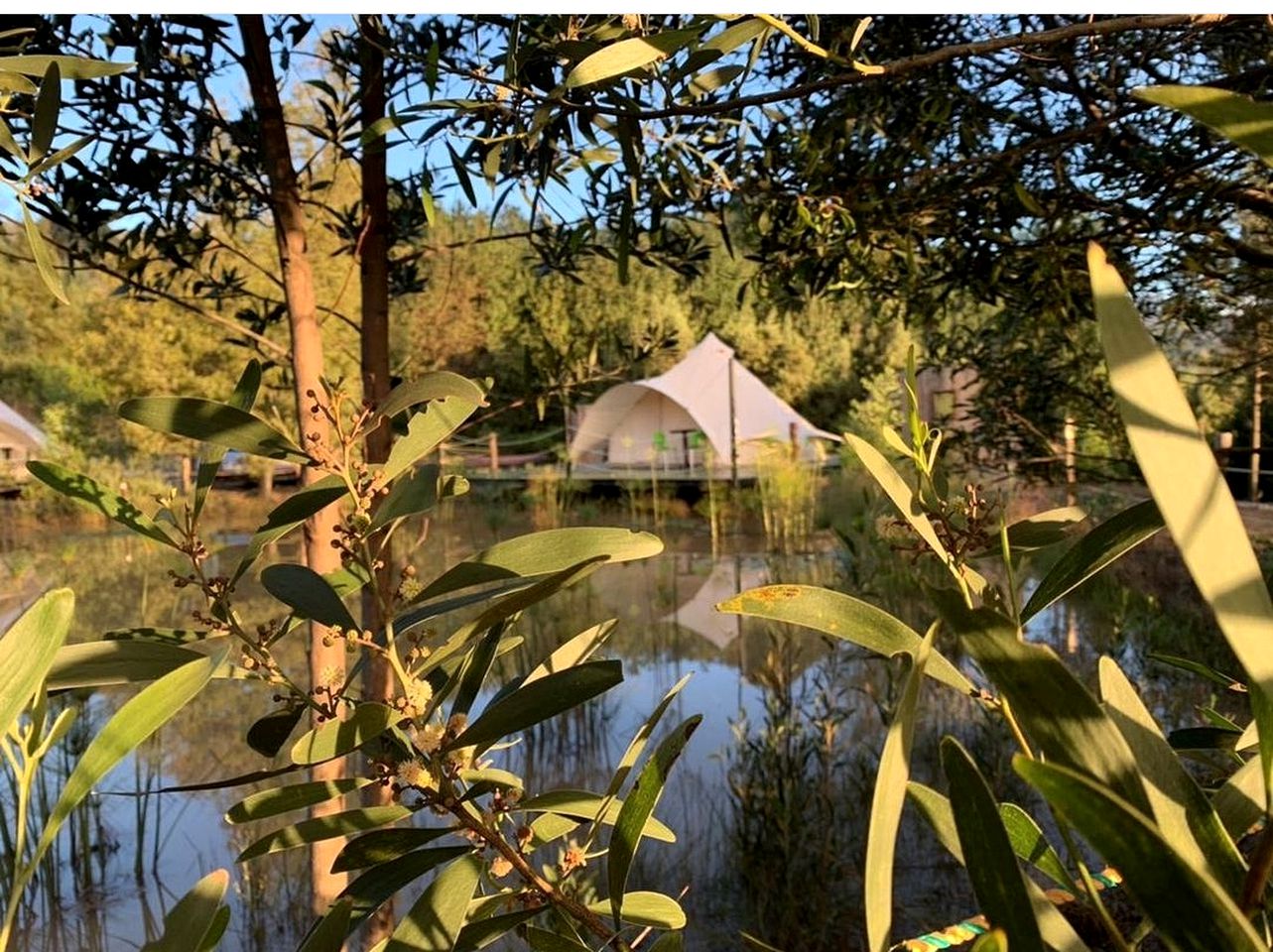 Stunning Colombian Bell Tent for a Brilliant Weekend Vacation