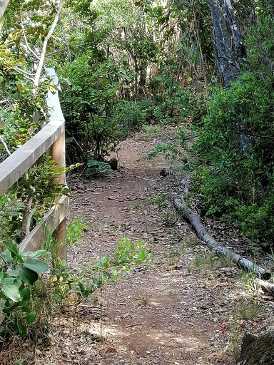 Bell Tents (Chile, Chillan, Ñuble)