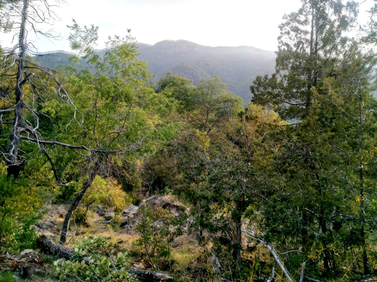 Rural Bell Tent makes for a Beautiful Chile Retreat