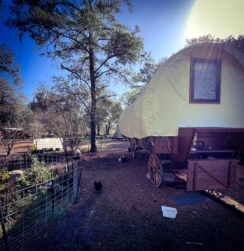 Tented Cabins (United States of America, Melrose, Florida)