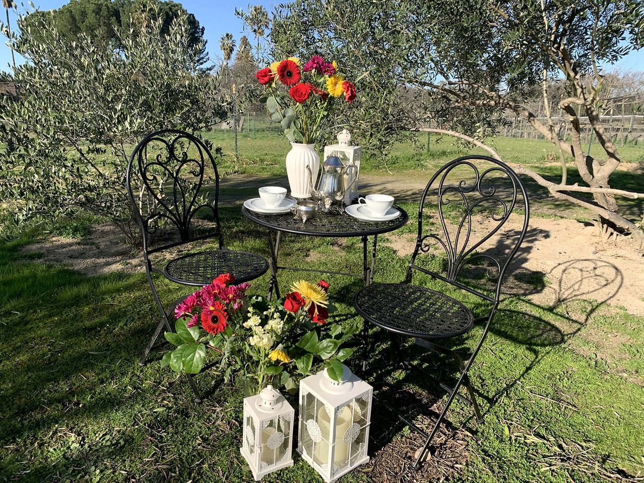 Authentic California Tipi, Perfect for a Family Retreat near Folsom Lake