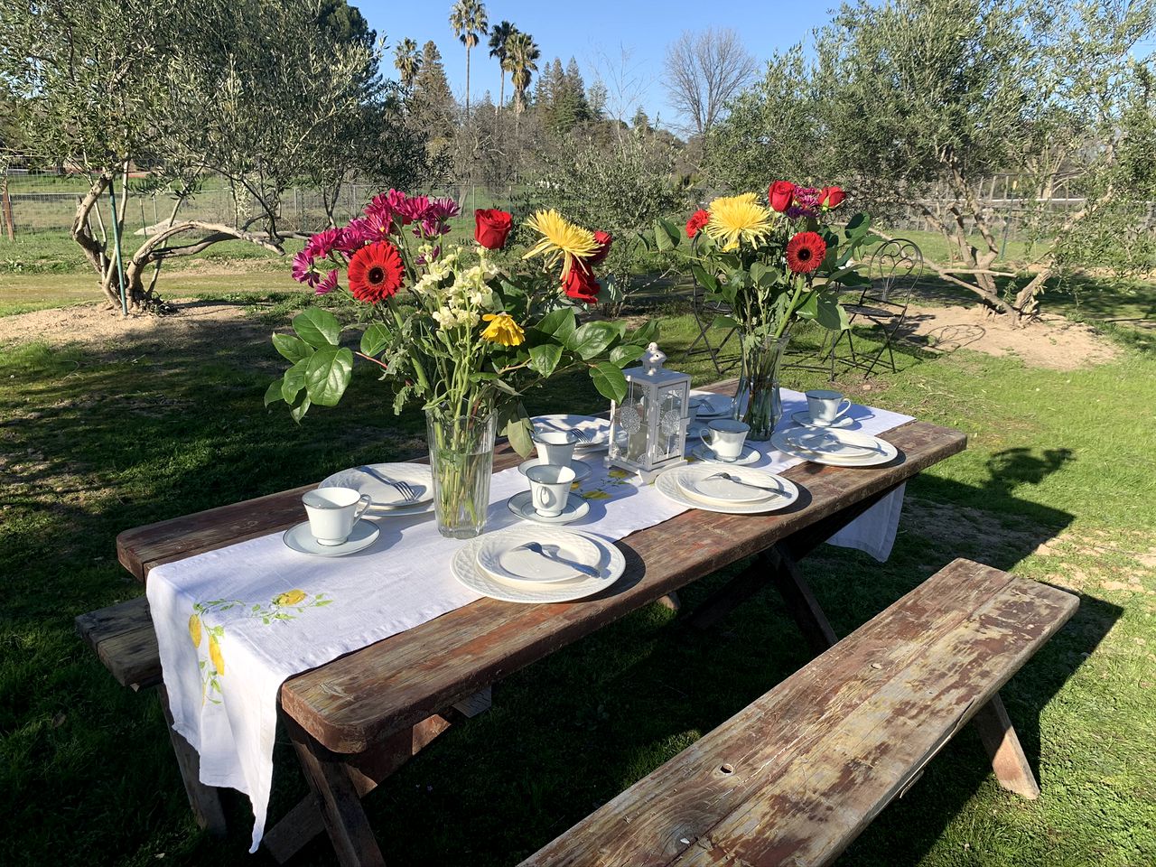 Authentic California Tipi, Perfect for a Family Retreat near Folsom Lake