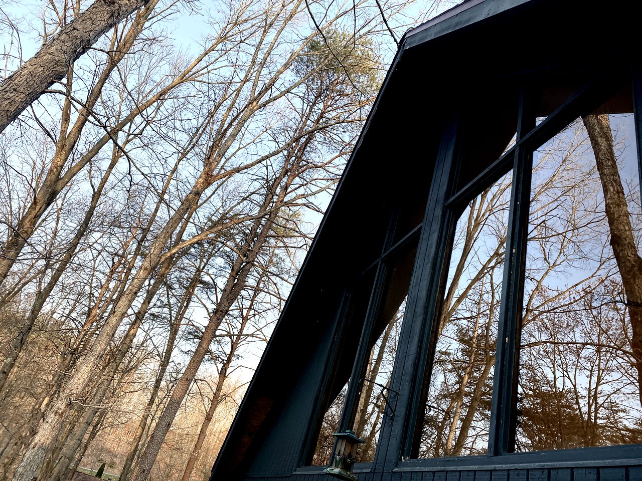 Secluded Cabin Rental with Forest Views outside of Baltimore