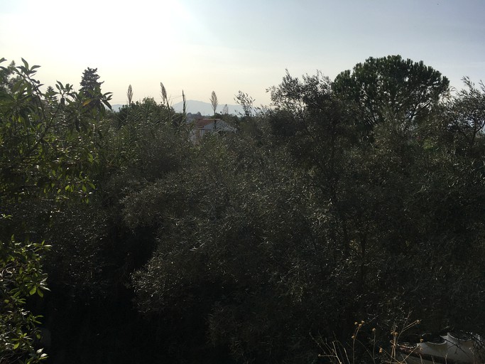 Cabins (Spain, Cartama, Andalusia)