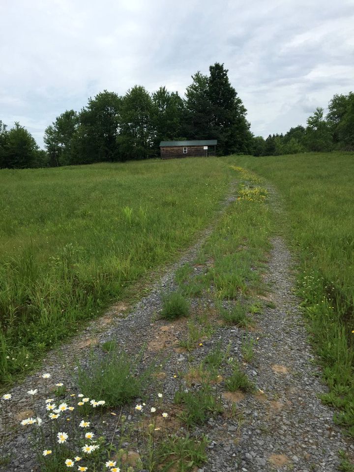 Rustic Cabin Rental for a Glamping Experience in Castorland, New York