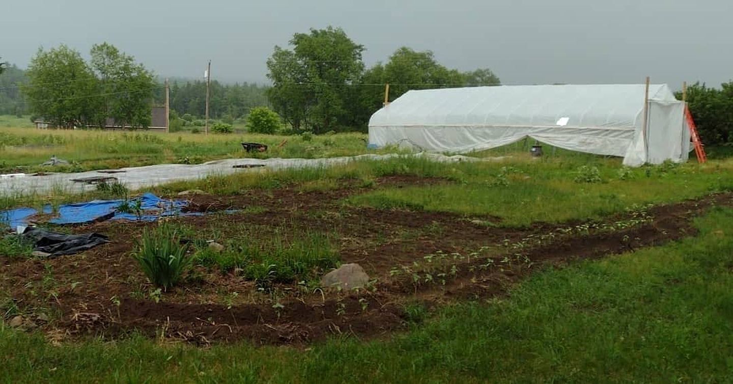 Rustic Cabin Rental for a Glamping Experience in Castorland, New York