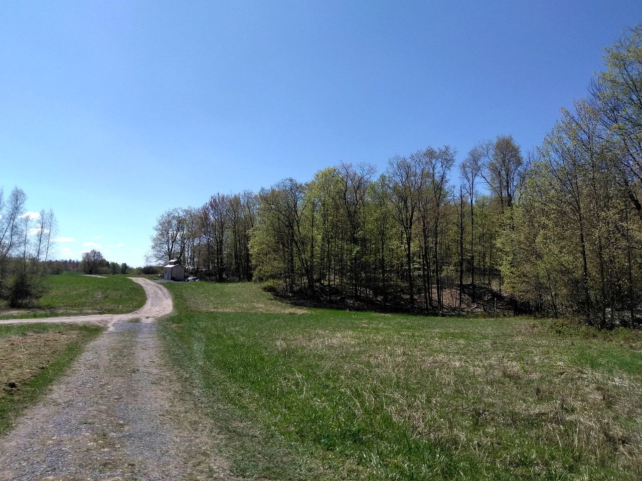 Rustic Cabin Rental for a Glamping Experience in Castorland, New York