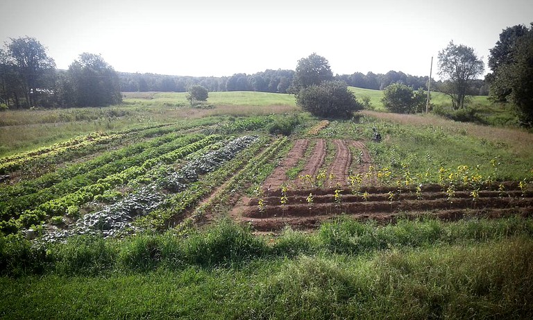 Cabins (United States of America, --, New York)