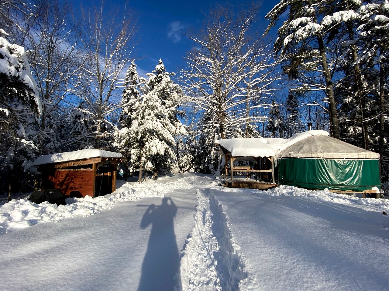 Yurts (United States of America, Chatham, New Hampshire)
