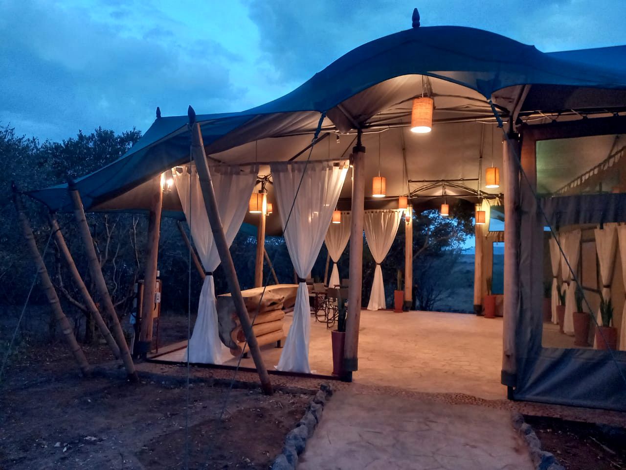 Cozy Safari Tent Rentals in Maasai Mara National Reserve, Kenya