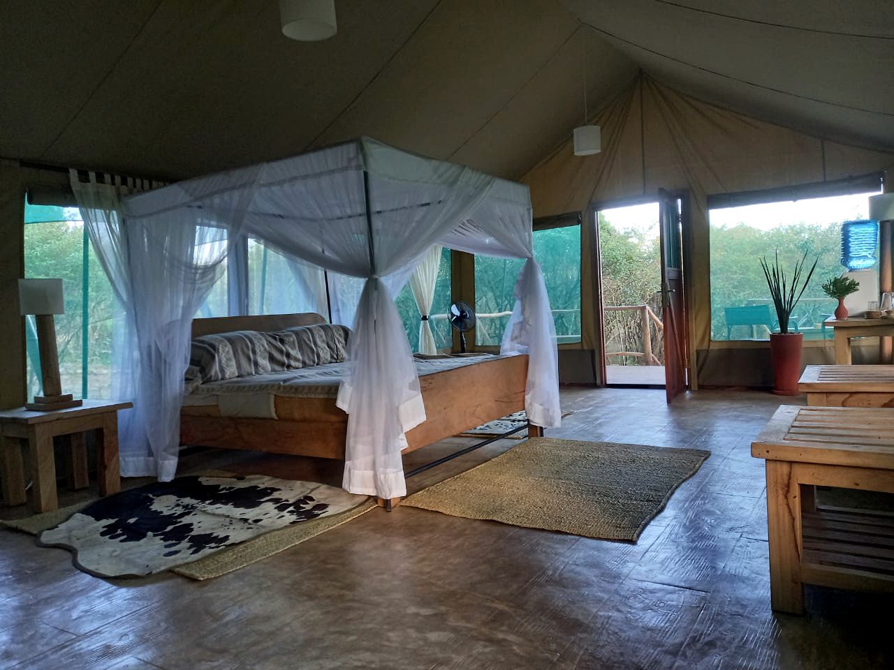 Cozy Safari Tent Rentals in Maasai Mara National Reserve, Kenya